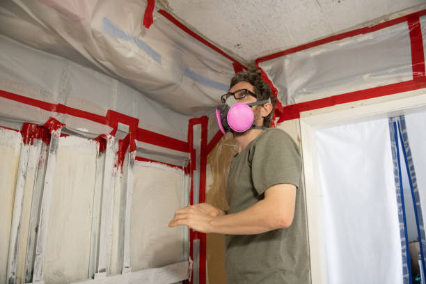 Mold Removal for HVAC Installations in Mayville, NY