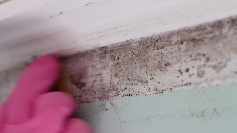 Asbestos and Lead Testing During Mold Inspection in Mayville, NY